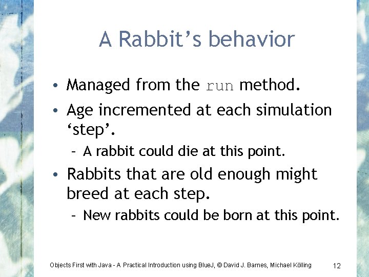 A Rabbit’s behavior • Managed from the run method. • Age incremented at each