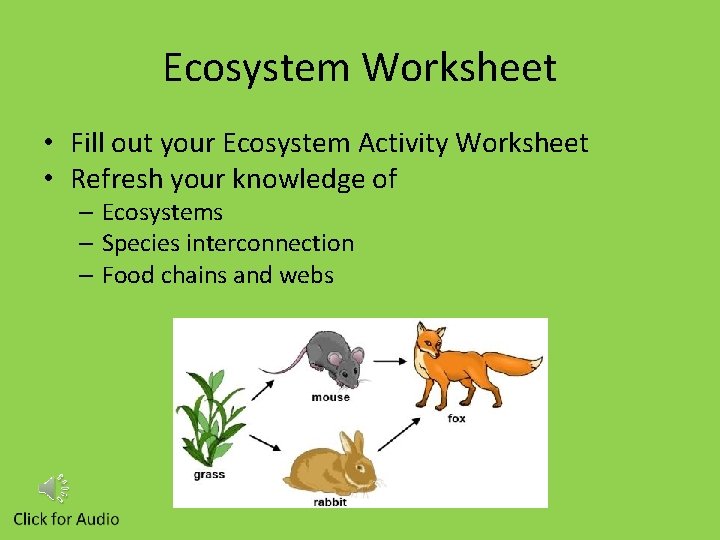 5 th Grade Ecosystems are a web relationships