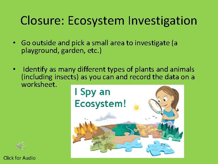 Closure: Ecosystem Investigation • Go outside and pick a small area to investigate (a