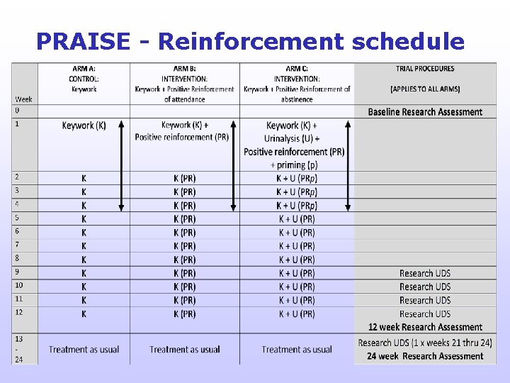 PRAISE - Reinforcement schedule 