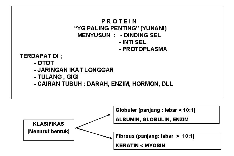 PROTEIN “YG PALING PENTING” (YUNANI) MENYUSUN : - DINDING SEL - INTI SEL -