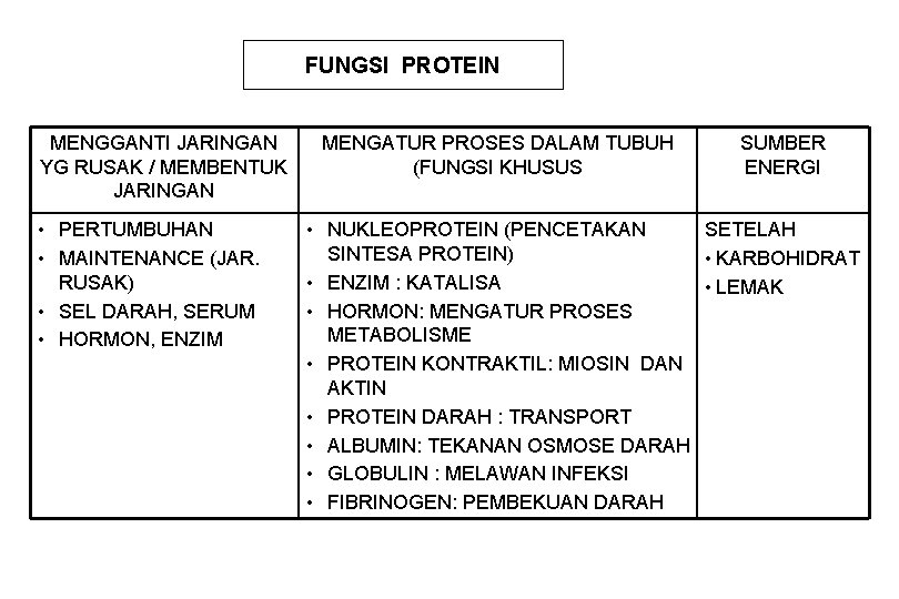 FUNGSI PROTEIN MENGGANTI JARINGAN YG RUSAK / MEMBENTUK JARINGAN • PERTUMBUHAN • MAINTENANCE (JAR.