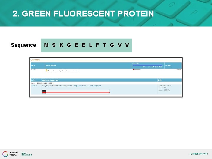 2. GREEN FLUORESCENT PROTEIN Sequence M S K G E E L F T