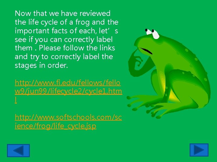 Now that we have reviewed the life cycle of a frog and the important