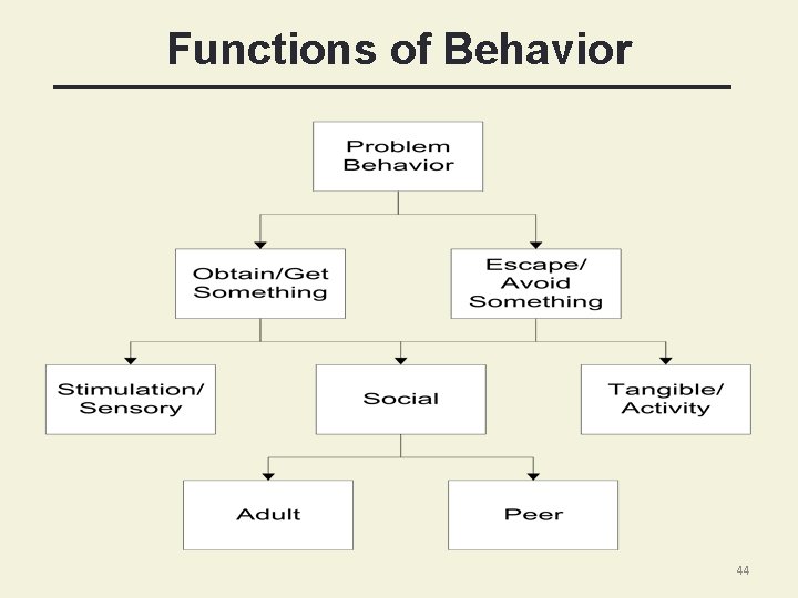 Functions of Behavior 44 