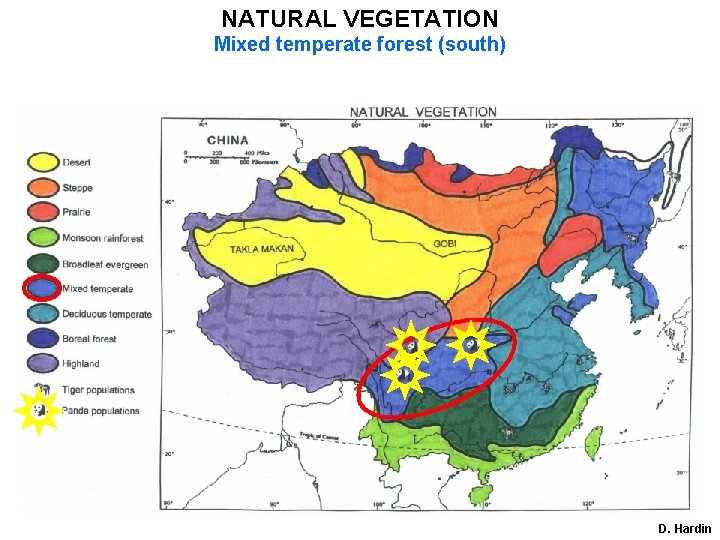 NATURAL VEGETATION Mixed temperate forest (south) D. Hardin 