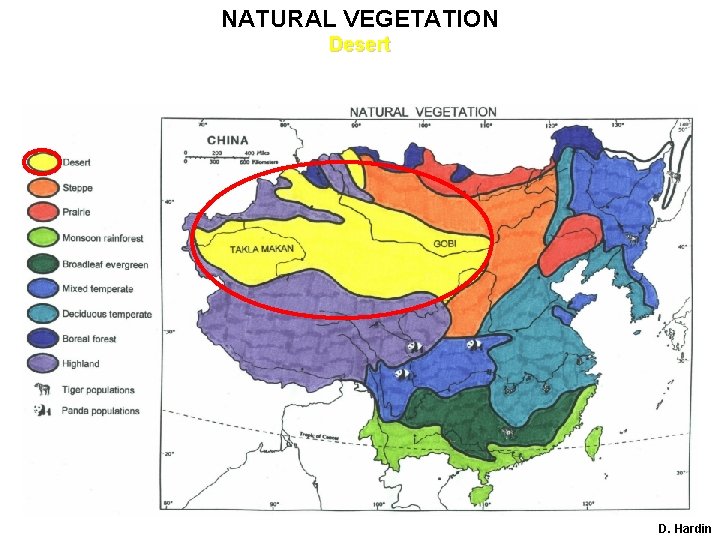 NATURAL VEGETATION Desert D. Hardin 