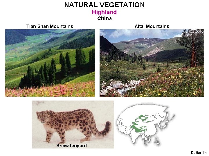 NATURAL VEGETATION Highland China Tian Shan Mountains Altai Mountains Snow leopard D. Hardin 