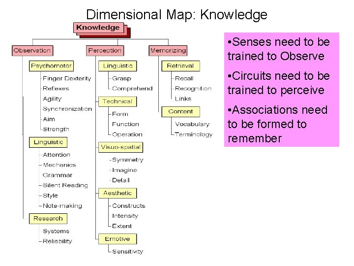 Dimensional Map: Knowledge • Senses need to be trained to Observe • Circuits need