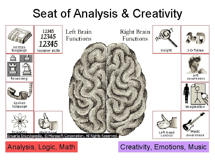 Seat of Analysis & Creativity Analysis, Logic, Math Creativity, Emotions, Music 