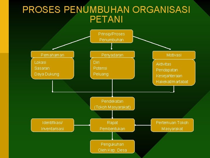PROSES PENUMBUHAN ORGANISASI PETANI Prinsip/Proses Penumbuhan Pemahaman Lokasi Sasaran Daya Dukung Penyadaran Diri Potensi