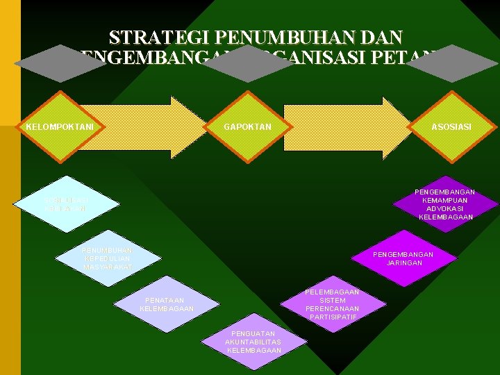 STRATEGI PENUMBUHAN DAN PENGEMBANGAN ORGANISASI PETANI KELOMPOKTANI GAPOKTAN ASOSIASI PENGEMBANGAN KEMAMPUAN ADVOKASI KELEMBAGAAN SOSIALISASI