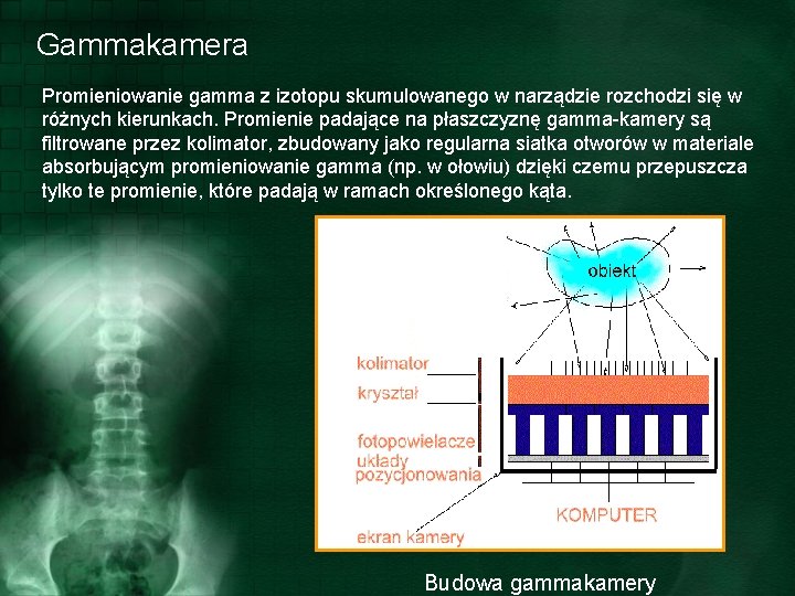 Gammakamera Promieniowanie gamma z izotopu skumulowanego w narządzie rozchodzi się w różnych kierunkach. Promienie