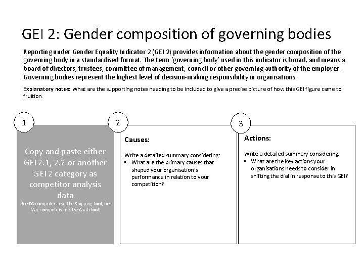 GEI 2: Gender composition of governing bodies Reporting under Gender Equality Indicator 2 (GEI