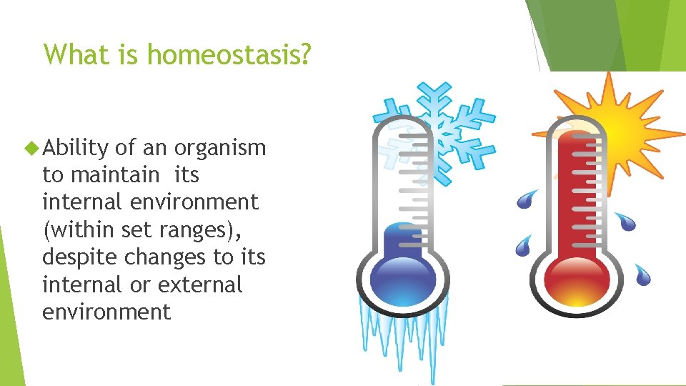 What is homeostasis? Ability of an organism to maintain its internal environment (within set
