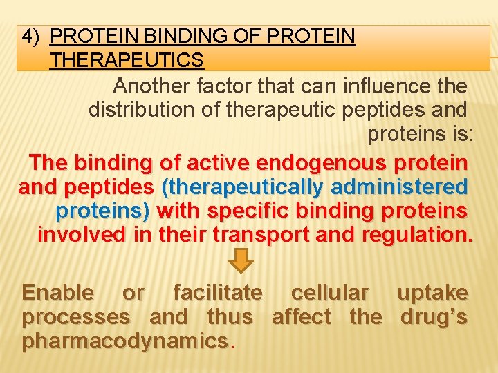 4) PROTEIN BINDING OF PROTEIN THERAPEUTICS Another factor that can influence the distribution of