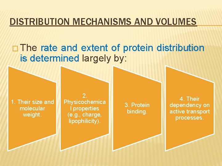 DISTRIBUTION MECHANISMS AND VOLUMES � The rate and extent of protein distribution is determined