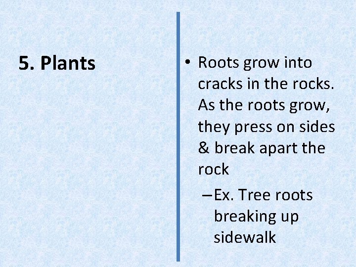 5. Plants • Roots grow into cracks in the rocks. As the roots grow,