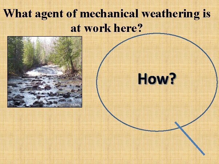 What agent of mechanical weathering is at work here? How? 