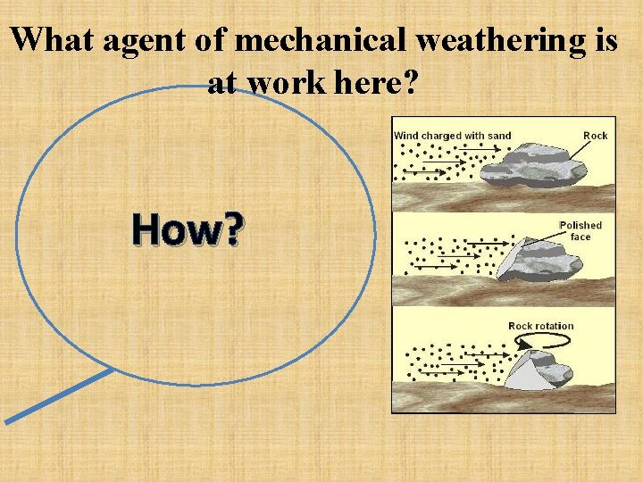 What agent of mechanical weathering is at work here? How? 