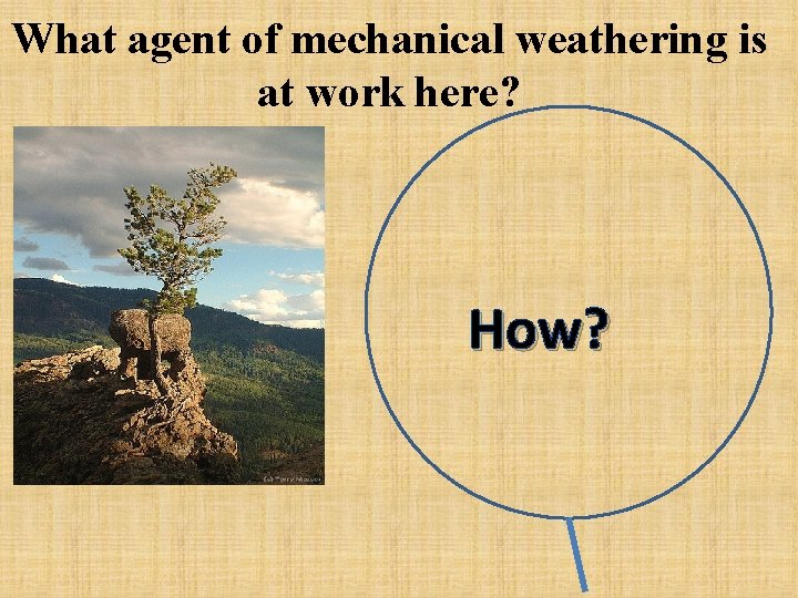 What agent of mechanical weathering is at work here? How? 