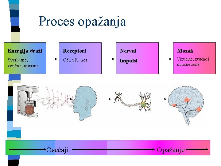 Proces opažanja Energija draži Receptori Nervni Mozak Svetlosne, zvučne, mirisne Oči, uši, nos impulsi