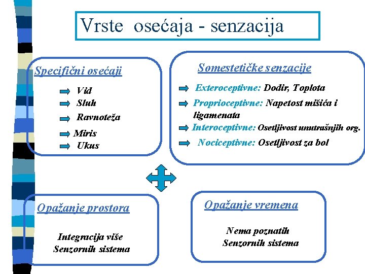 Vrste osećaja - senzacija Specifični osećaji Vid Sluh Ravnoteža Miris Ukus Opažanje prostora Integracija