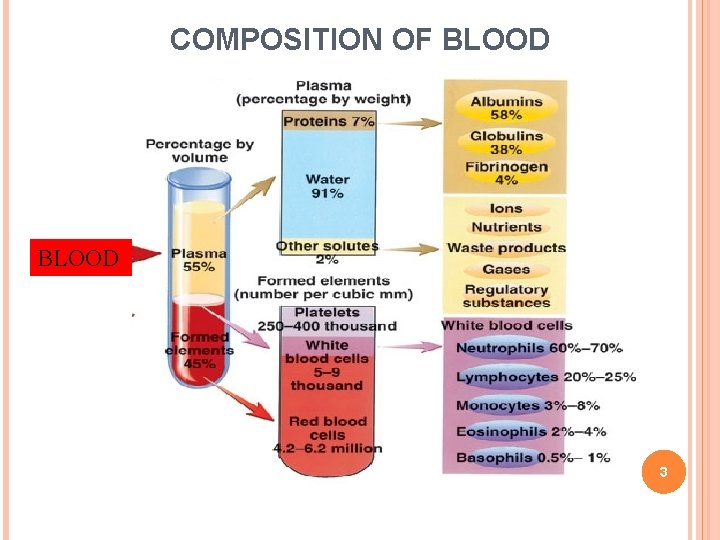 COMPOSITION OF BLOOD 3 