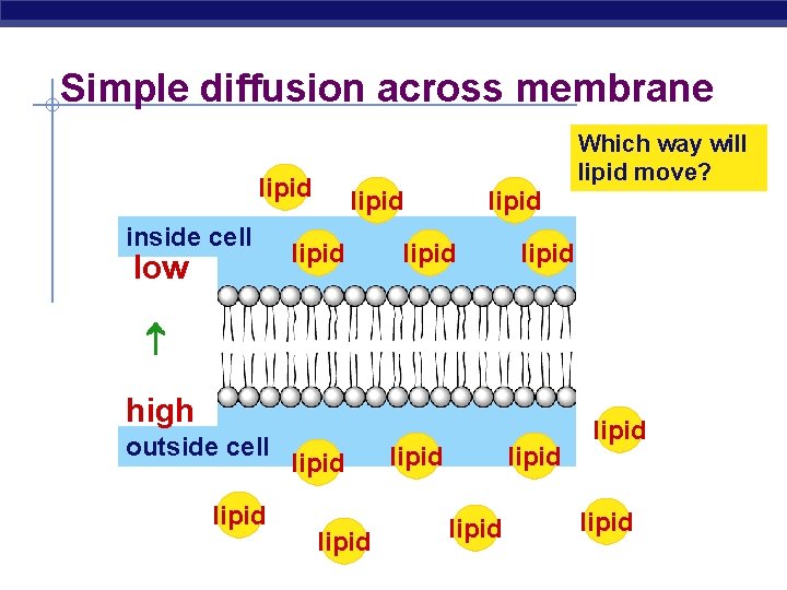 Simple diffusion across membrane Which way will lipid move? lipid inside cell low lipid
