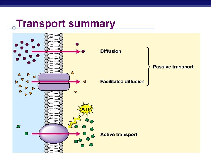 Transport summary Transport summary