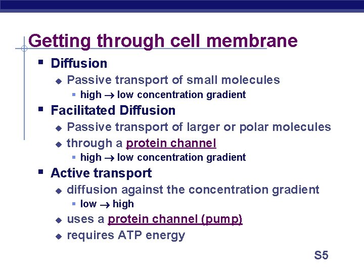 Getting through cell membrane § Diffusion u Passive transport of small molecules § high