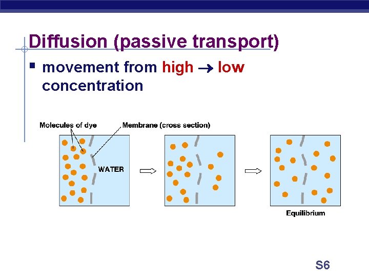 Diffusion (passive transport) § movement from high low concentration S 6 