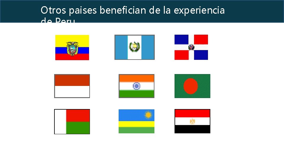 Otros paises benefician de la experiencia de Peruana 