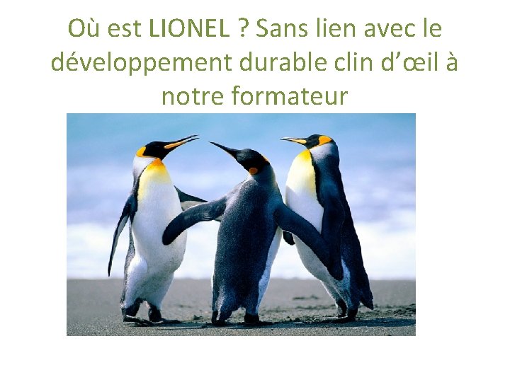 Où est LIONEL ? Sans lien avec le développement durable clin d’œil à notre