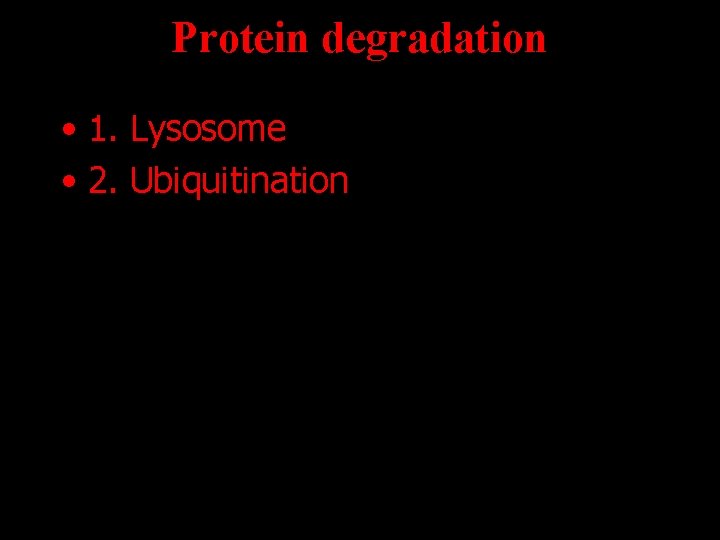 Protein degradation • 1. Lysosome • 2. Ubiquitination 