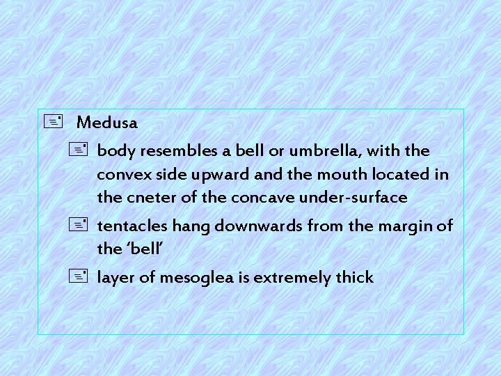 + Medusa + body resembles a bell or umbrella, with the convex side upward