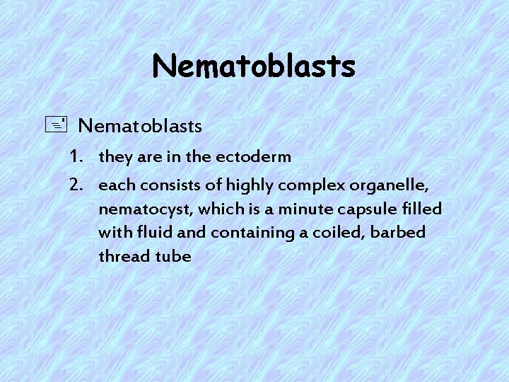 Nematoblasts + Nematoblasts 1. they are in the ectoderm 2. each consists of highly