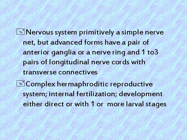 +Nervous system primitively a simple nerve net, but advanced forms have a pair of