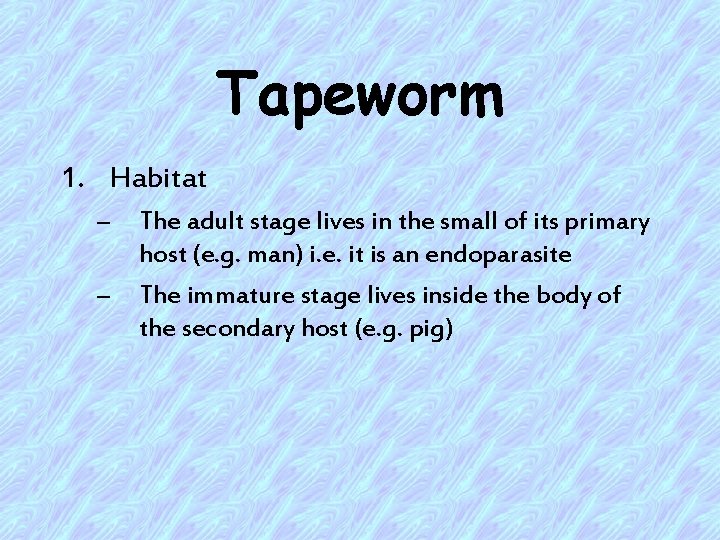 Tapeworm 1. Habitat – – The adult stage lives in the small of its