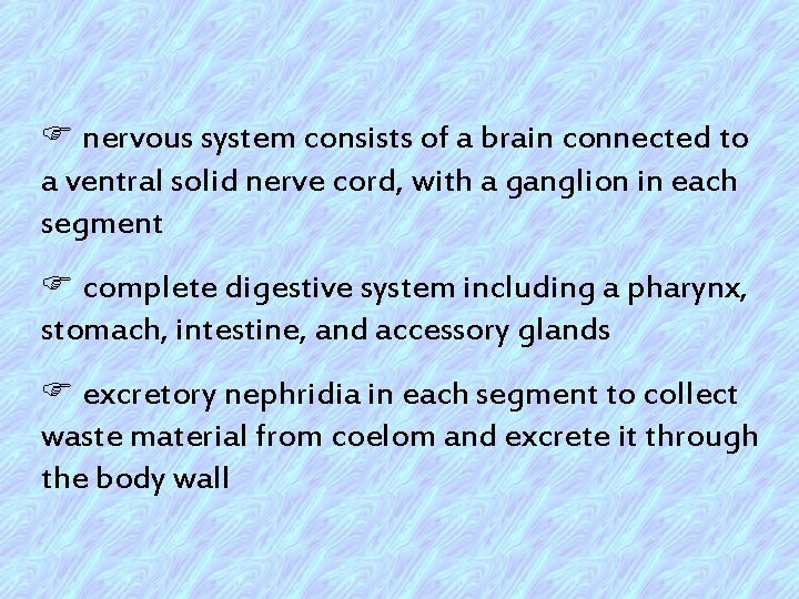 F nervous system consists of a brain connected to a ventral solid nerve cord,