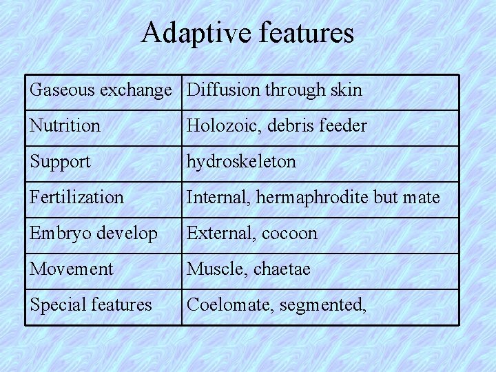 Adaptive features Gaseous exchange Diffusion through skin Nutrition Holozoic, debris feeder Support hydroskeleton Fertilization