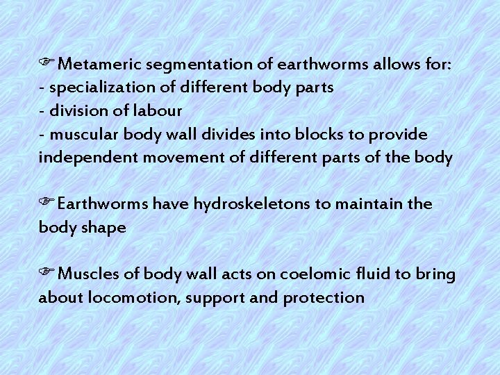 FMetameric segmentation of earthworms allows for: - specialization of different body parts - division