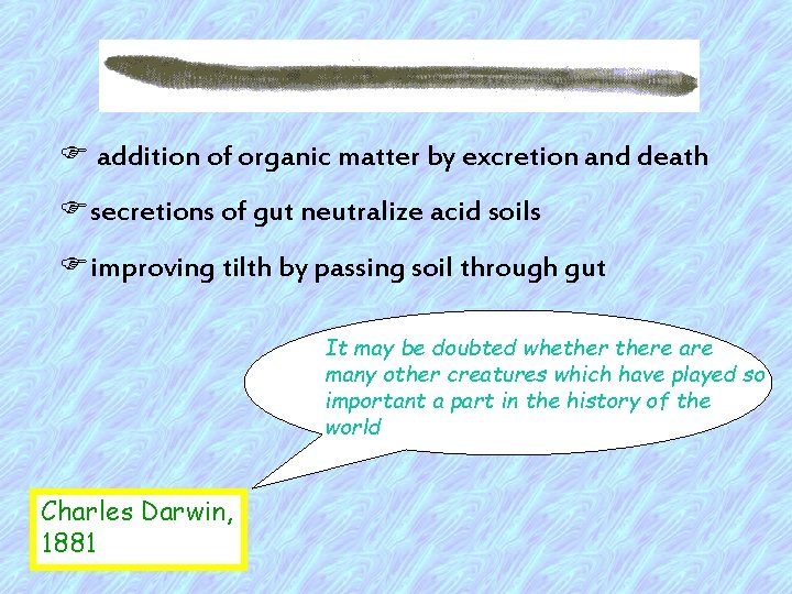 F addition of organic matter by excretion and death Fsecretions of gut neutralize acid