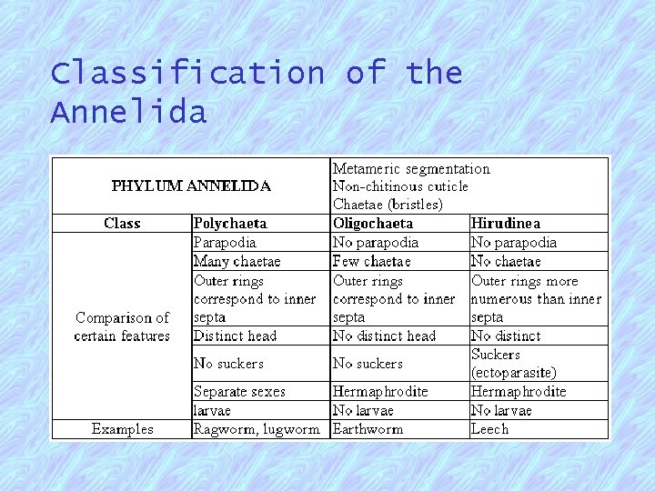 Classification of the Annelida 