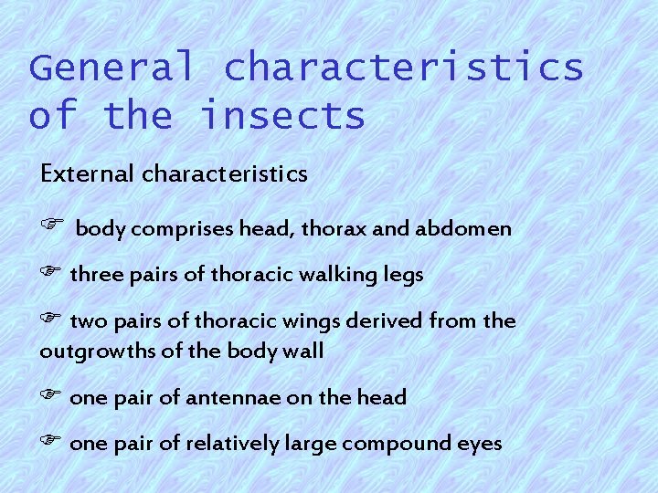 General characteristics of the insects External characteristics F body comprises head, thorax and abdomen
