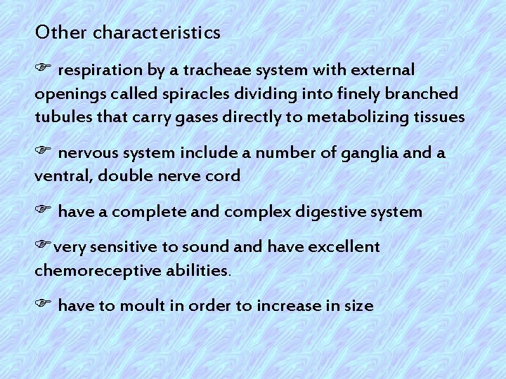 Other characteristics F respiration by a tracheae system with external openings called spiracles dividing