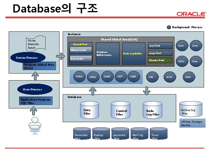 Database의 구조 Background Process Instance Parse Execute Fetch Server Process Shared Global Area(SGA) Shared