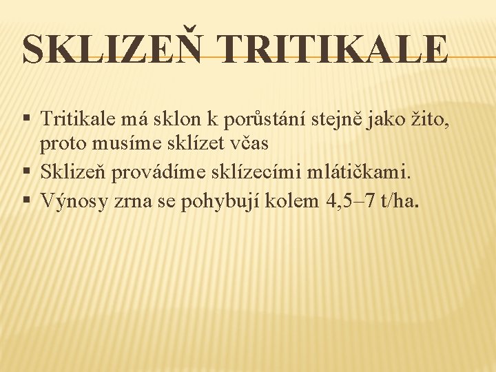 SKLIZEŇ TRITIKALE § Tritikale má sklon k porůstání stejně jako žito, proto musíme sklízet