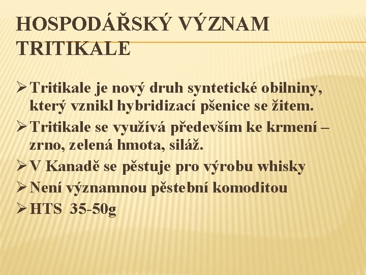 HOSPODÁŘSKÝ VÝZNAM TRITIKALE Ø Tritikale je nový druh syntetické obilniny, který vznikl hybridizací pšenice