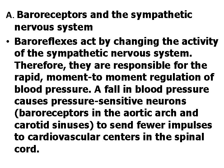 A. Baroreceptors and the sympathetic nervous system • Baroreflexes act by changing the activity